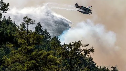 Biden Directs More Resources to Fight Canadian Wildfires