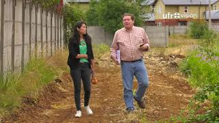 Municipio De Padre Las Casas Construye Cortafuegos Para Prevenir Amenazas De Incendios En La Zona