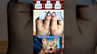 Gauss The Correct Number 235223213