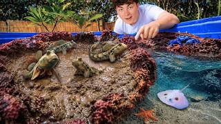 Building a MUD BATH For My Pet WALKING FISH!!