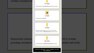 Role of Breeding and Biotechnology in Disease Resistance