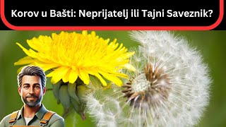 Da Li Je Korov Vaš Prijatelj? Koristi I Upotreba Korova U Bašti
