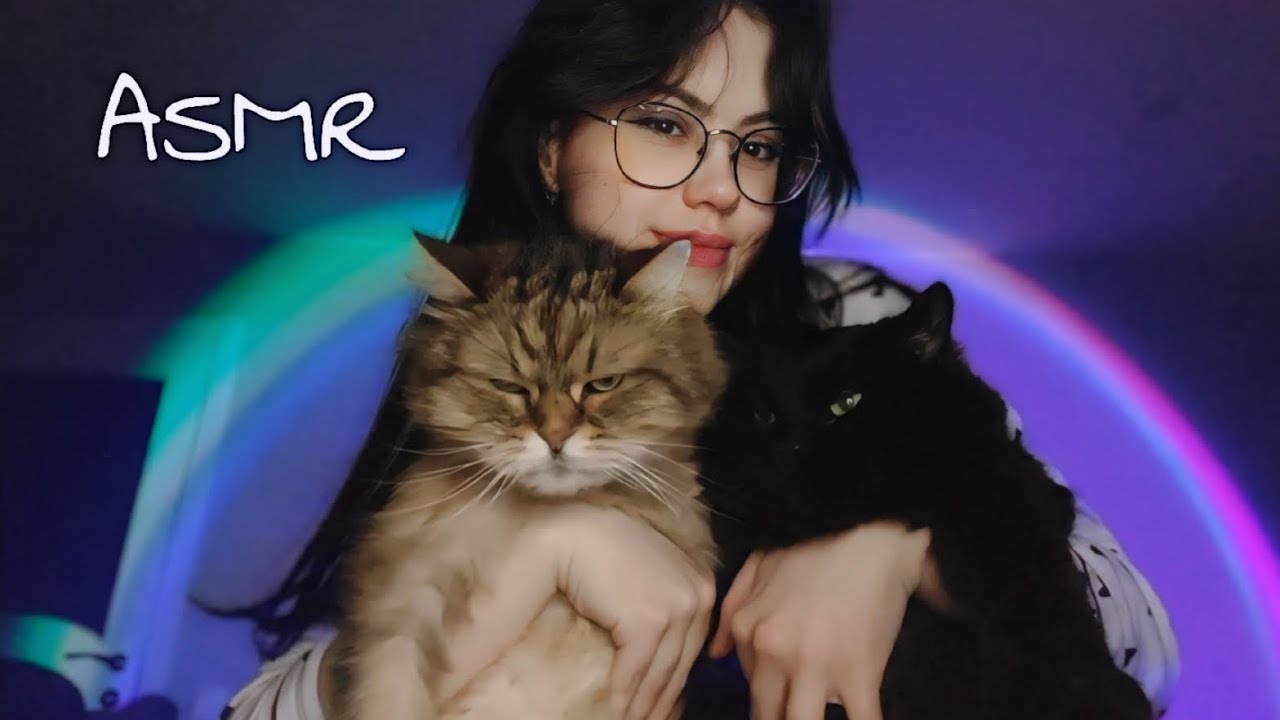АСМР с котиками ⋆｡°✩ расскажу немного про них #asmr #асмр