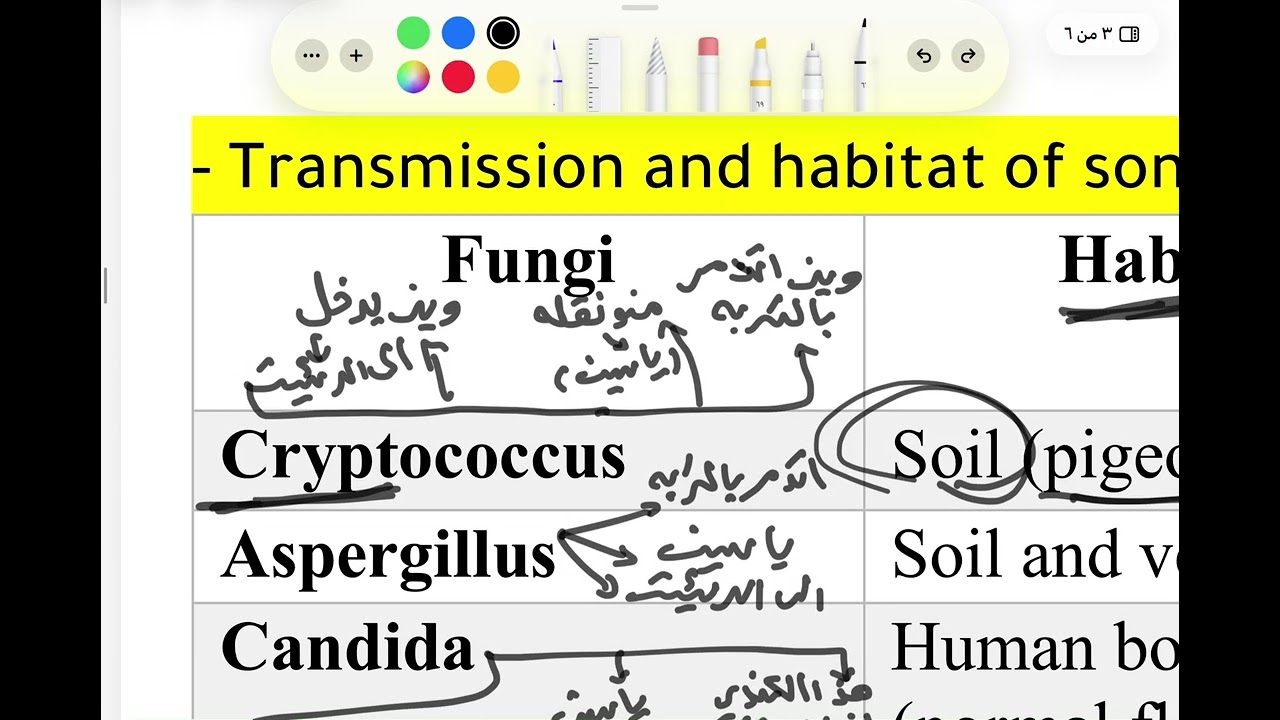 شرح فطريات محاضره 2