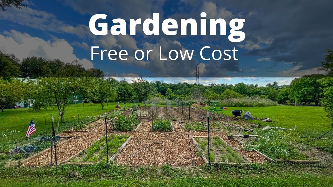 Best FREE garden hacks, tips, and tricks for gardening on a budget