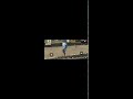 Free fire live