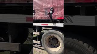 Semirremolque Tremac 2024 rampla botellera 3 ejes 14.21 mts #ref CX81 Buin