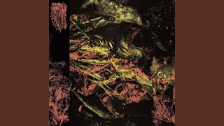 Perdurance
