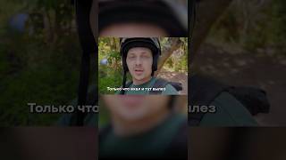 Вараны на дорогах Шри-Ланки. Окрестности Мириссы  #мирисса #шриланка