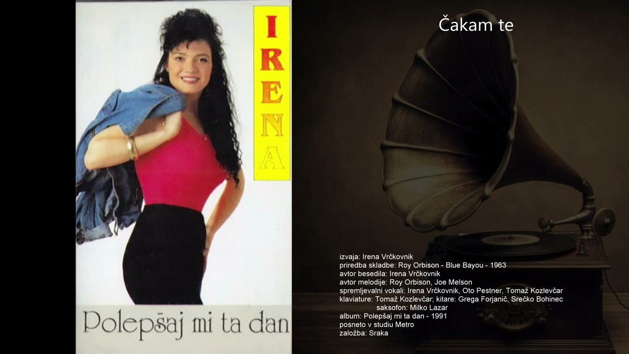 Čakam te - Irena Vrčkovnik