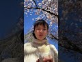 Solo Picnic In Cherry Blossom Park ft. Taiwanese Rice Roll