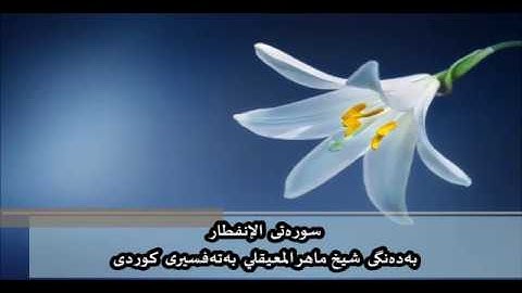 سوره‌تی الإنفطار به‌ده‌نگی شیخ ماهر المعيقلي به‌ته‌فسیری کوردی