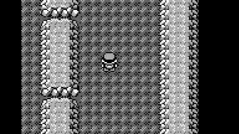 Pokémon Red 2:02 Speed Run Segment 8