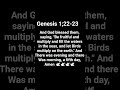 Genesis 1;22-23 #walkinspiritoftheholyspirit #worship #bibleverses #bible 🕊🕊