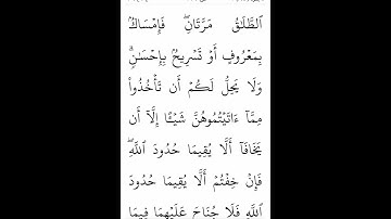 سوره مبارکه بقره آیات ۲۲۸و۲۲۹بامعنی گویا گوارای وجودتان #قرآن #قران_كريم #قران #قرآن_كريم #youtube