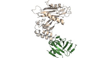 Structural basis of SUFU-GLI interaction in human Hedgehog signalling regulation