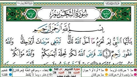 سورة التحريم الشيخ أيمن سويد Surat Al-Tahrim Sheikh Ayman Sweden