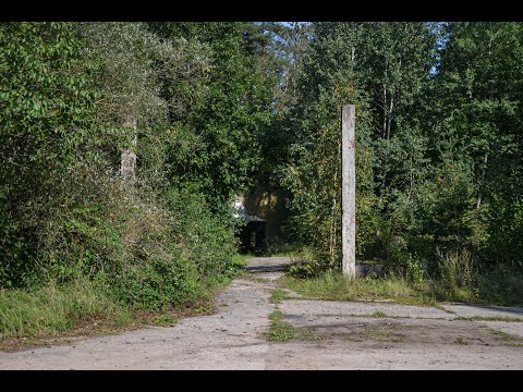 Video: Hoya-Bachu miškas – paranormali Transilvanijos širdis