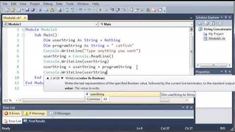 Visual Basic Tutorial   18   Concatenate Strings