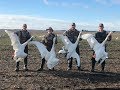 2018 Washington County NC Swan Hunt