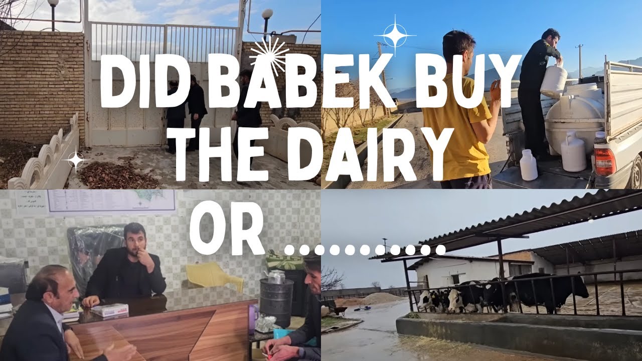 Did Babek, Par tell the truth or buy the dairy the nomad way