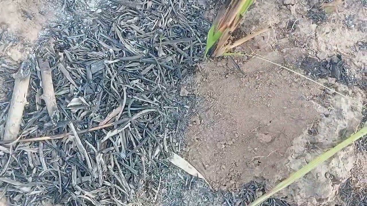 Nhượng lại khoảng 1ha4 giá 115tr hết lô ai quan tâm lh em sdt 0326067673 để tham khảo lô đất ạ 