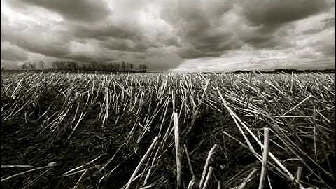 سورة ق -الشيخ صلاح هاشم.flv