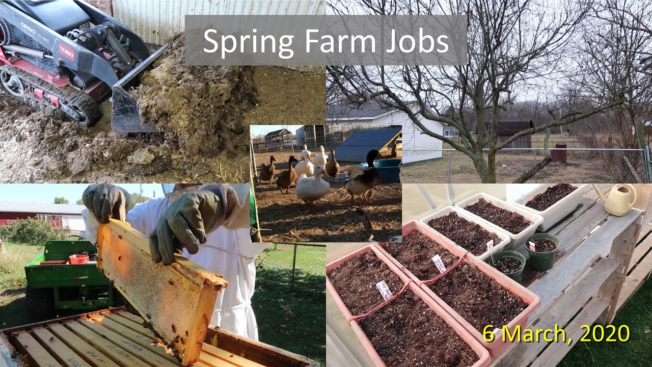 Spring Farm Jobs YouTube