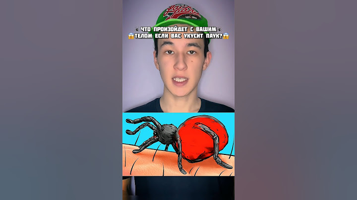 🕷️Что Произойдет с Вашим Телом Если Вас Укусит Паук⁉️😳 #shorts #паук #насекомые