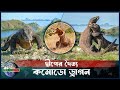 কমোডো ড্রাগন | সবচেয়ে বড় জীবন্ত টিকটিকি | Komodo Dragon | BW Bangla Doc