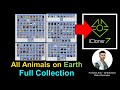 All Animals on Earth FULL COLLECTION - iClone 7.9 Tutorial - 3D Models resource