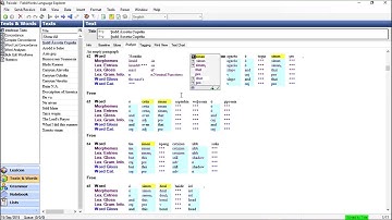 FLEx Conlangs 3  5 - Browse and Dictionary functions