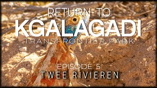 RETURN TO THE KGALAGADI - Episode 5 - Back to Twee Rivieren