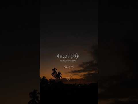 استخدموا الصوت