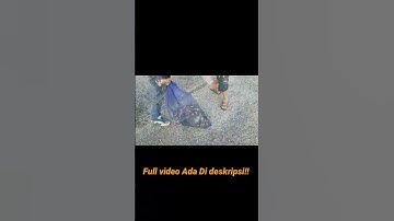 Menjala Ikan Dapat Banyak #shorts