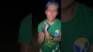 Cuántos huevos de tortuga!!!! 🐢#conservacion #picks #apuesta #patrullaje #tortugas #mexico