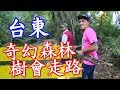 【奇幻森林 樹會走路】台東│《經典好節目》台灣第一等_精選版