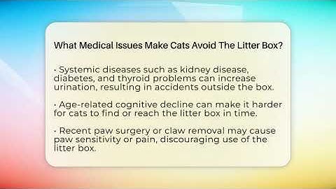 What Medical Issues Make Cats Avoid The Litter Box? - Happy Cat Handbook