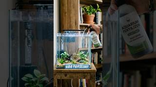 How to Use Aquarium Fertilizer Without Growing Algae