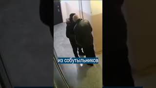 Откусил Стену В Подъезде И Запил Пивом