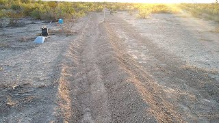 Garden Started, Steel Ordered and Tiny House Painted by Full Vegan Homestead 596 views 4 years ago 9 minutes, 38 seconds