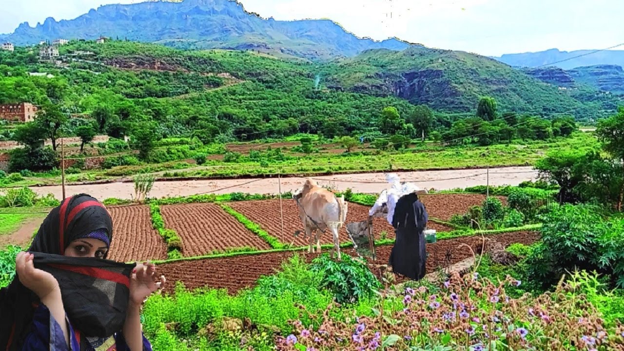 يا ساكنين صنعاء وحدة - اقوى اغنية للمغتربين - مناظر الطبيعه اليمن قوة