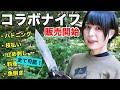 【キクナイフ】切れ味最強ナイフメーカーとのコラボナイフがついに完成！その性能とは…！？【kiku knives/Kiku Matsuda knife/Кику Мацуда нож/松田菊男】