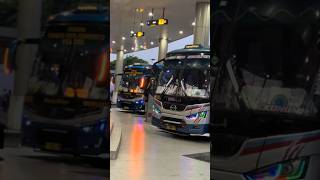 Storywa Bus Sugeng Rahayu Mboiss 30 Detik