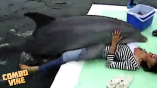 Combo Vine #70