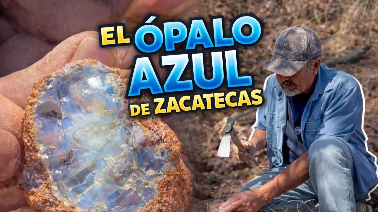 🔥 Encontramos el FAMOSO Ópalo Azul en los Cerros de Zacatecas