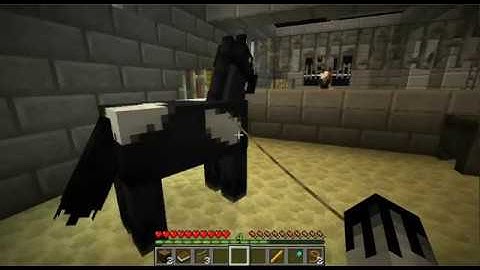 Minecraft Spigot Plugin LeashTeleport By RandomUnknown