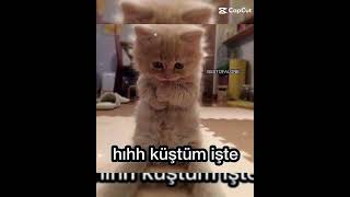 Tatlı Fotoğraflar Pt1