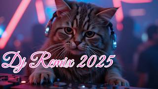 Dj Remix 2024 |dj breakbeat 2024 terbaru  |dj breakbeat 2024  |dj
