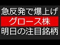 急反発で爆上げ！？グロース株！！明日の注目銘柄